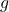 \bfmath{g}