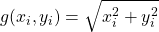 g(x_i,y_i)=\sqrt{x_i^2+y_i^2}