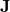 Rendered by QuickLaTeX.com \mathbf{J}